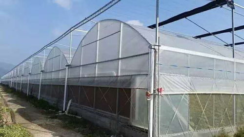 德阳农业种植大棚与生猪养殖大棚造价详解指南