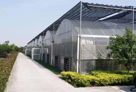 安庆市阳光板连栋温室大棚 货存充足，信誉铸就信赖