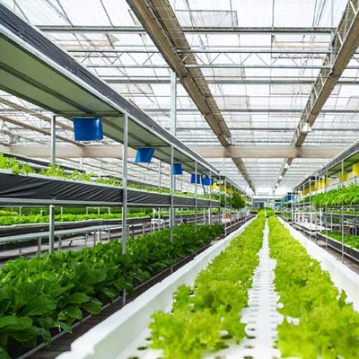 智慧生态养殖与互联网蔬菜大棚管理建设方案
