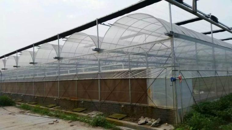 薄膜温室大棚建设中的水电与交通条件分析